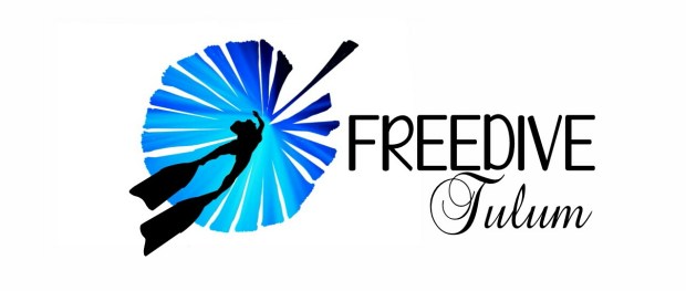 Freedive Tulum freediving school logo 2