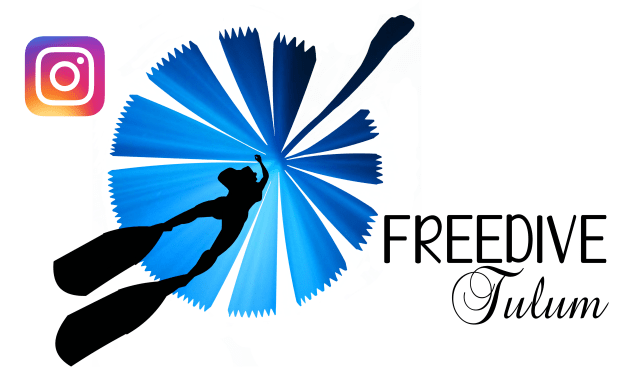 ab92a093-c0d2-4829-b4de-61eb8fc5-picsay